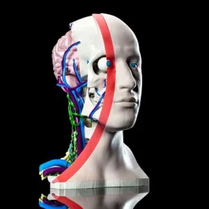 colorful head 3