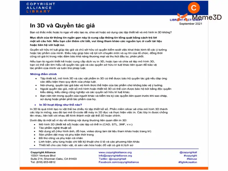 Bản quyền in 3D là gì? Những điều cần biết khi sử dụng file 3D kinh doanh
